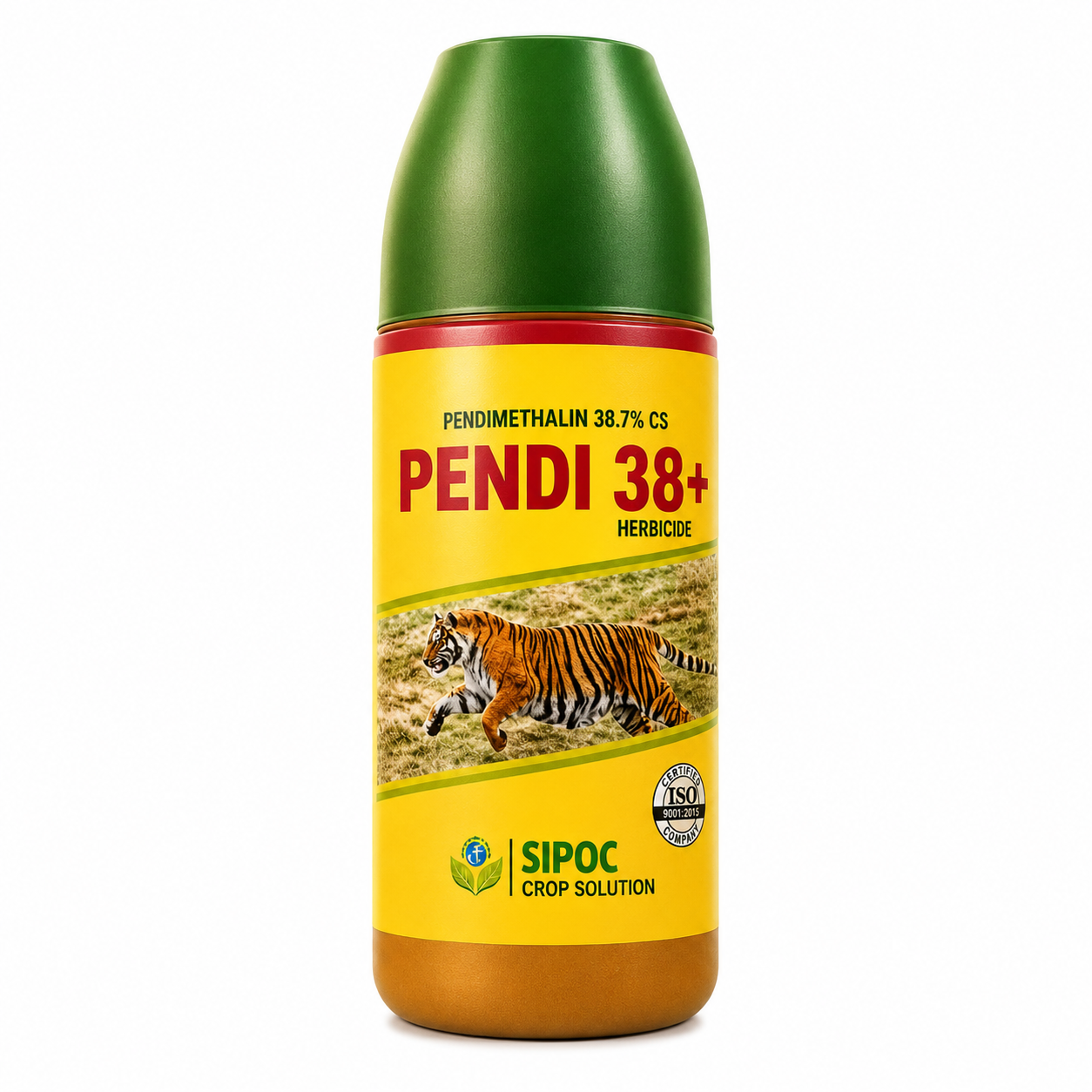 PENDI 38+